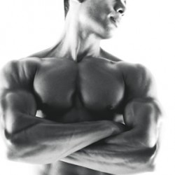 Креатин – возможный вред и побочные действия его использования Креатин – возможный вред и побочные действия его использования